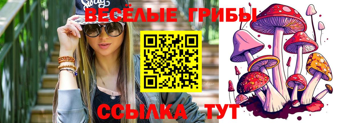 Богородск  Галлюциногенные грибы прущие грибы  Вход с VPN 